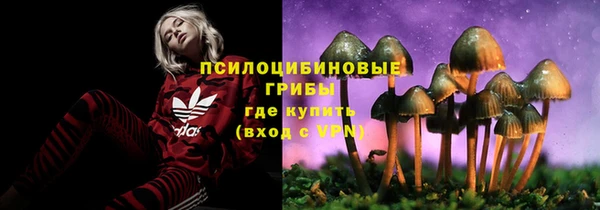 прущая мука Волоколамск