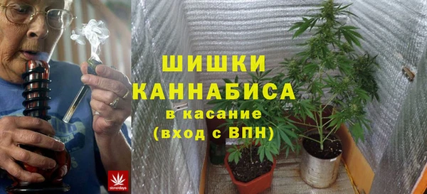 стаф Вяземский