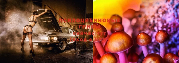 прущая мука Волоколамск